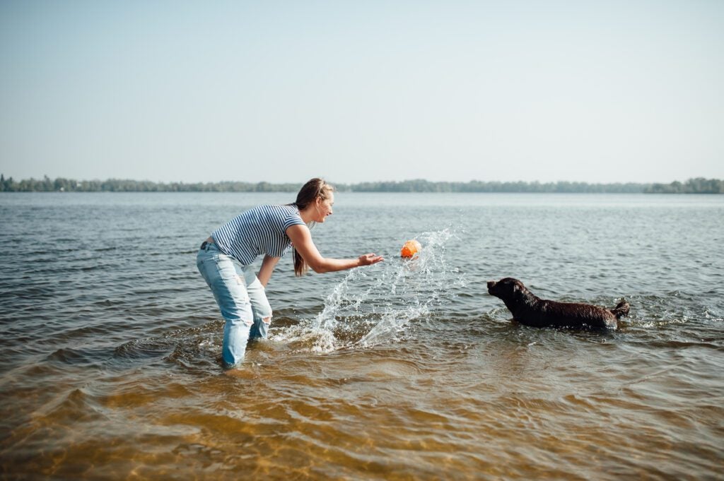 Girl playing with brown labrador in shallow water