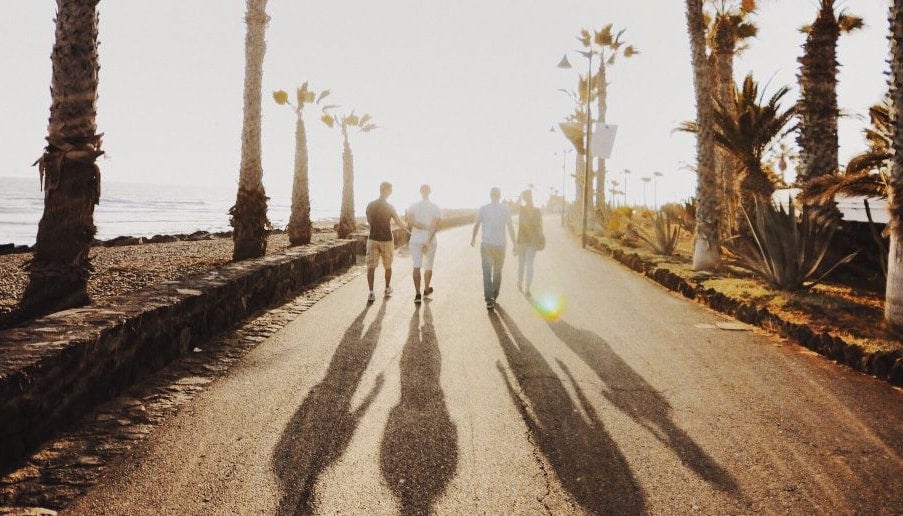 Parents and adult children walking down a sunny street lined with palm trees.