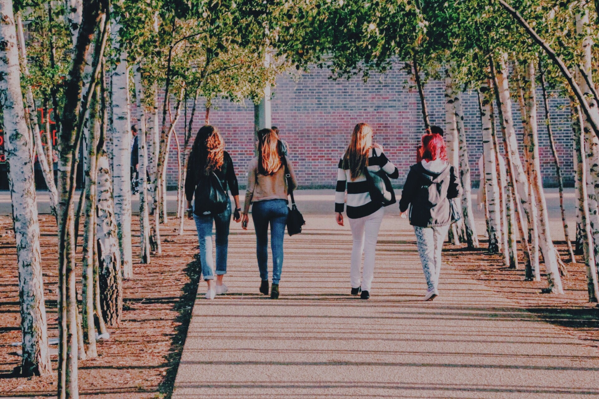 Women walking on college campus.