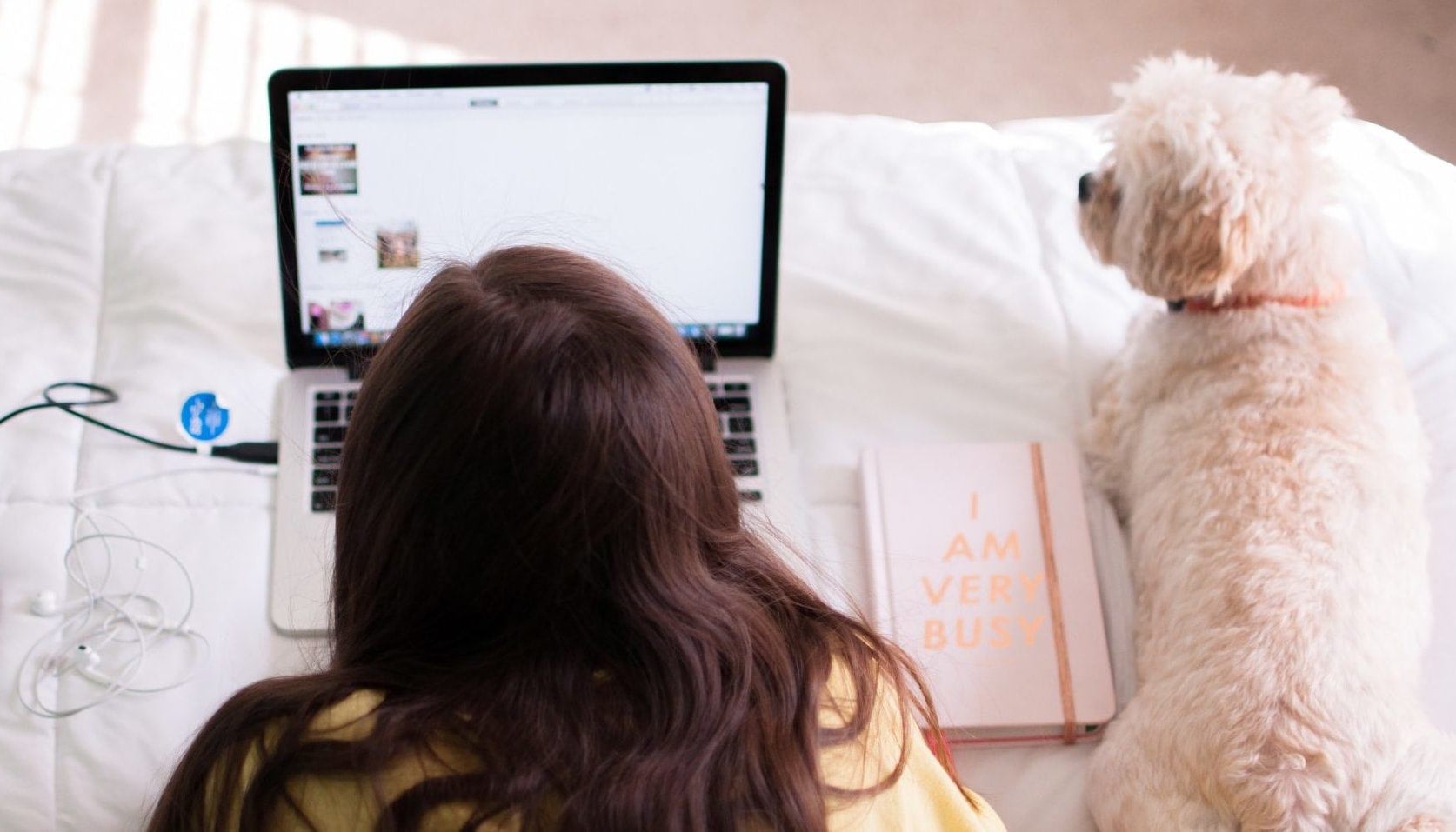 Woman looking at jobs on a computer with her dog.