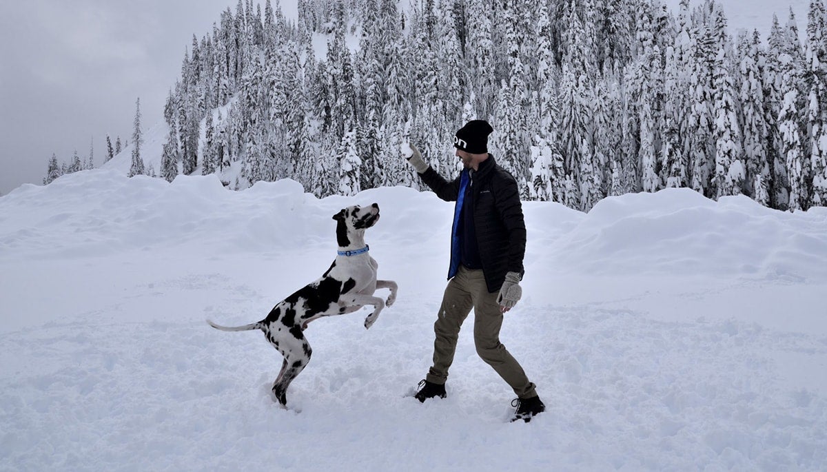 Man playing in the snow with his dog who he used as a tax deduction for his business.