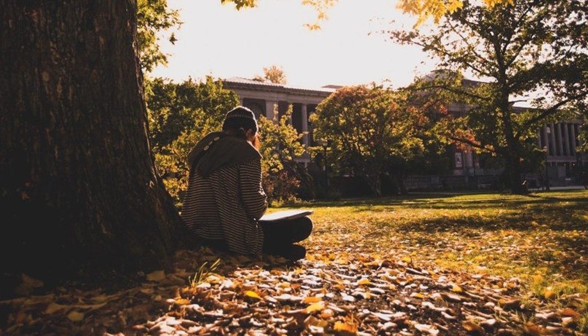 Student studying under a tree