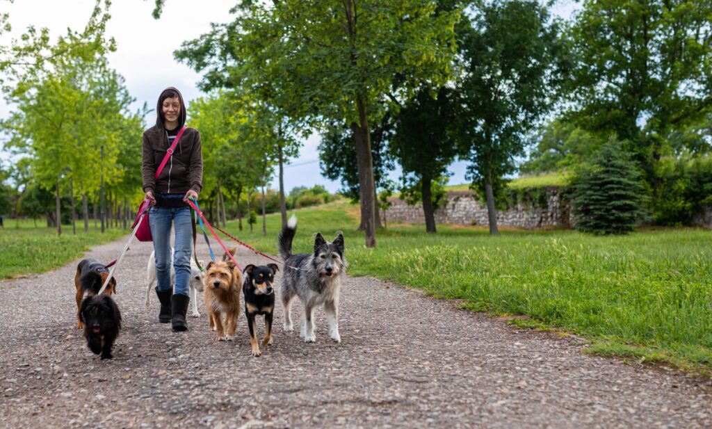 Image for Filing Taxes From a Side Hustle